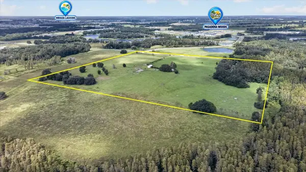 33610 KIEFER RD, Wesley Chapel, FL 33545