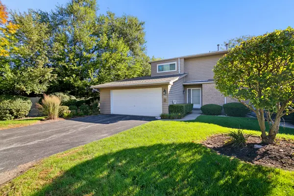 316 Arbor Hill CT, New Lenox, IL 60451