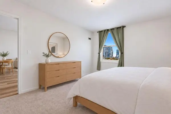 401 S 1st St #1103, Minneapolis, MN 55401