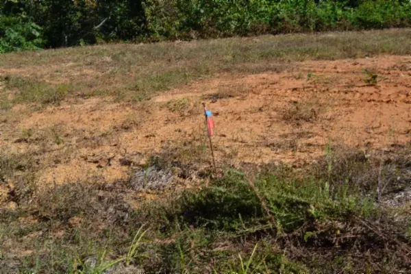 0 Rock Springs Rd #NE, Celina, TN 38551