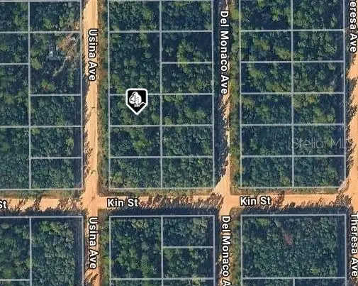USINA AVE, Interlachen, FL 32148