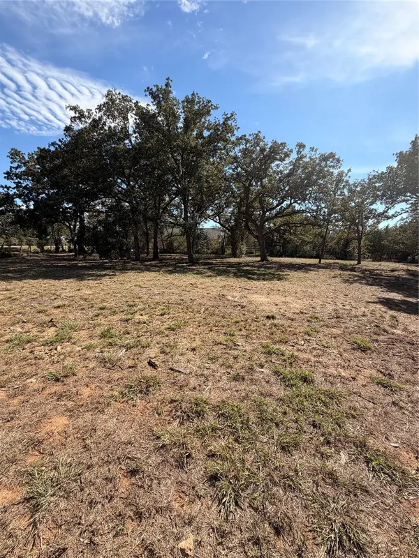 1686 Fm 2104 Lot # 14, Paige, TX 78659