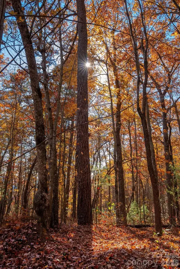 TBD Old Toxaway RD, Brevard, NC 28712