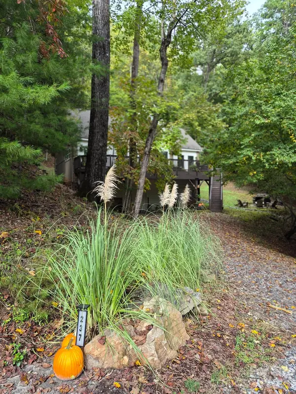 237 Mallard RD, Lake Lure, NC 28746