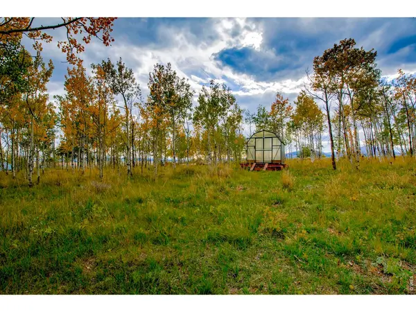 2883 Michigan Hill, Jefferson, CO 80456