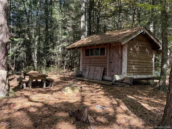 Lot 4 Deer Meadow Road, White Lake, NY 12786