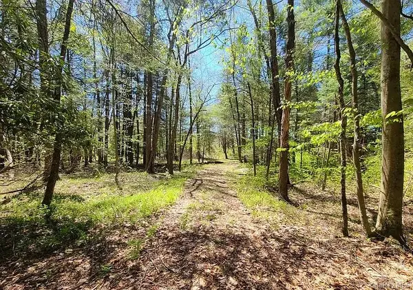 Lot 4 Deer Meadow Road, White Lake, NY 12786