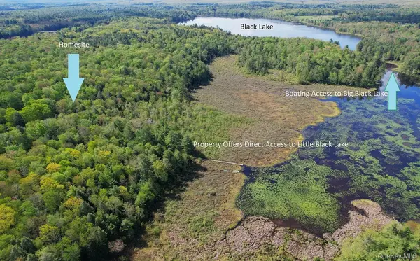 Lot 4 Deer Meadow Road, White Lake, NY 12786