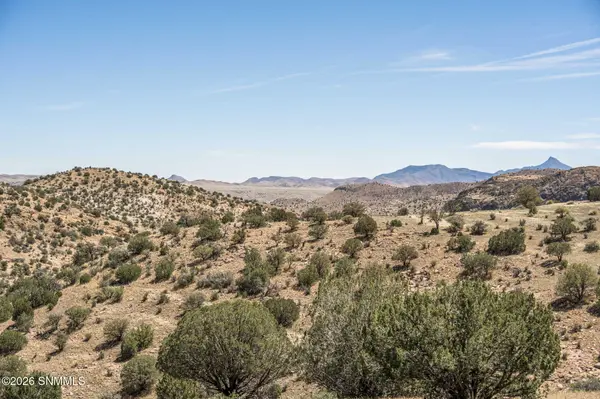 TBD Red Eagle Trail #Two, Faywood, NM 88034