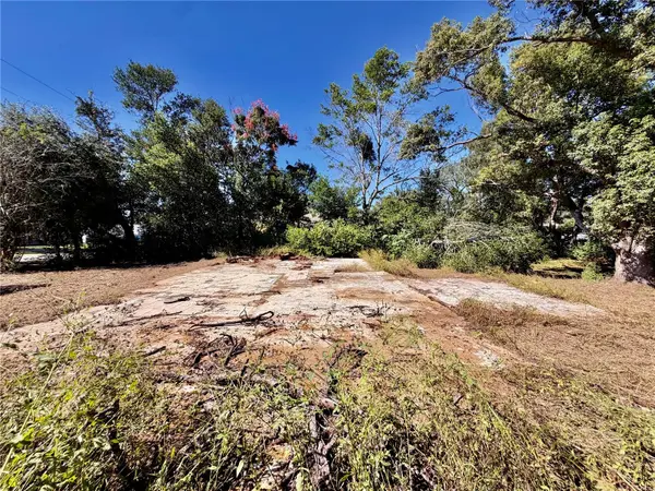11411 SAGAMORE ST, Spring Hill, FL 34609