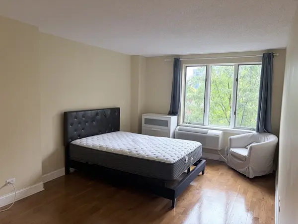 801 S PLYMOUTH CT #306, Chicago, IL 60605