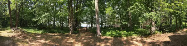 Tract 1 Lower Larson Lake RD NW, Hackensack, MN 56452