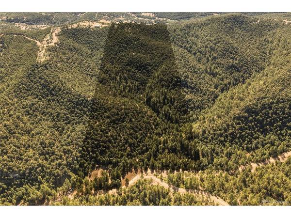 93 Blackhawk Ranch, Walsenburg, CO 81089