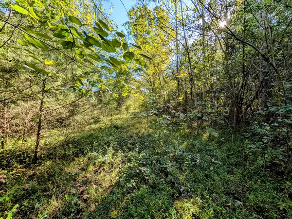 378 Ladd Springs Rd #SE, Cleveland, TN 37323