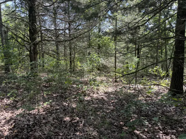 000 Ranch RD, Willow Springs, MO 65793