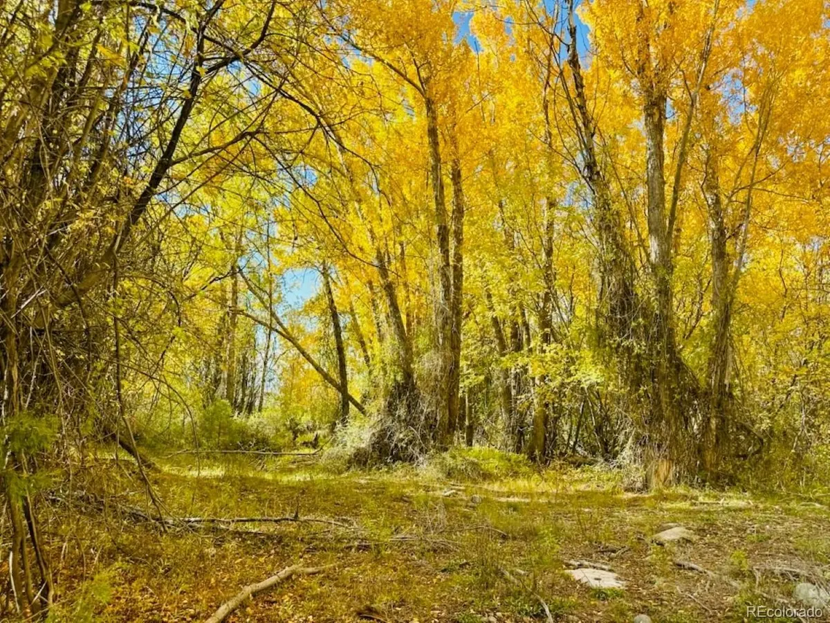 123 Indian Hill, Mosca, CO 81146