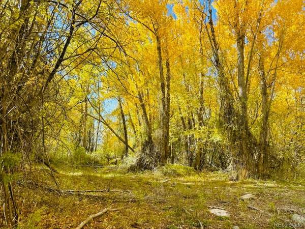 123 Indian Hill, Mosca, CO 81146
