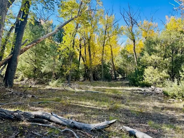 123 Indian Hill, Mosca, CO 81146