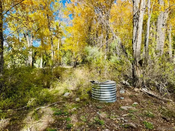 123 Indian Hill, Mosca, CO 81146