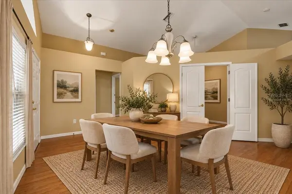 2610 BUCKHORN PRESERVE BLVD, Valrico, FL 33596