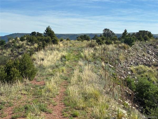 71 Chris Crossover, Canon City, CO 81212