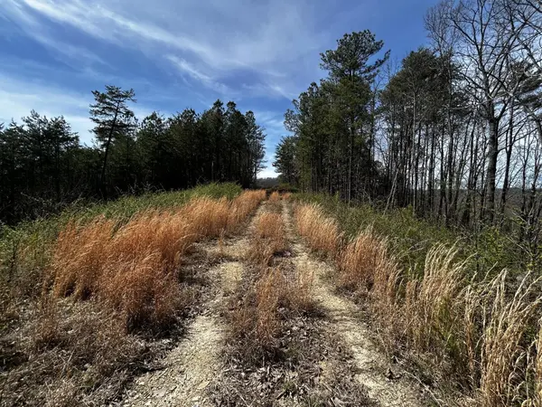 2 Owl Hollow Road #SW, Mc Donald, TN 37353