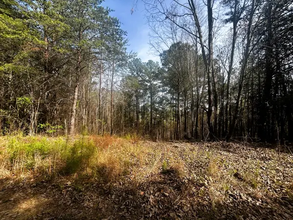6 Owl Hollow Road #SW, Mc Donald, TN 37353