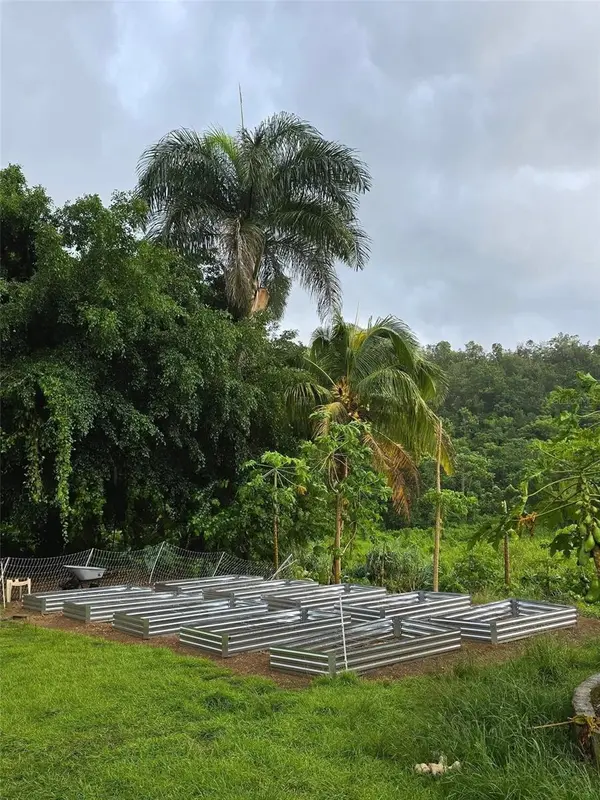 Carr 457 BO PLANAS SECTOR LA JUNGLA, Isabela, PR 00662