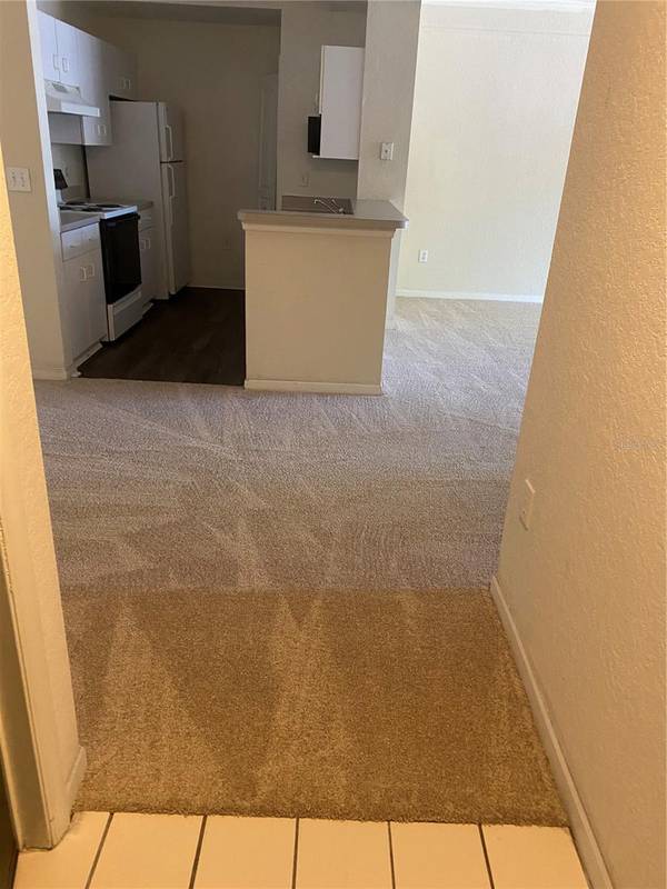 17110 CARRINGTON PARK DR #803, Tampa, FL 33647
