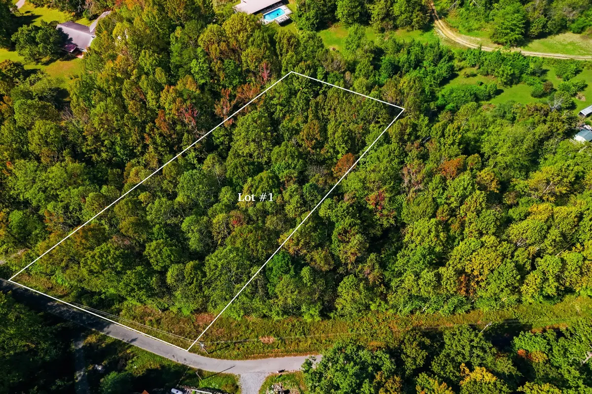 0 Timber Lake Drive, Cosby, TN 37722