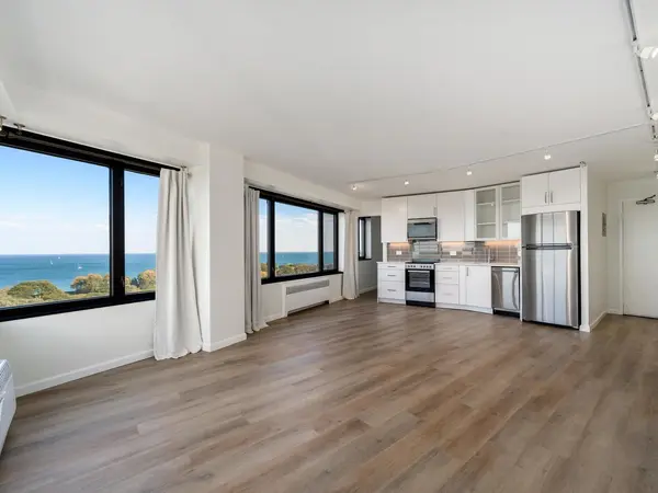 3100 N Lake Shore DR #1408, Chicago, IL 60657