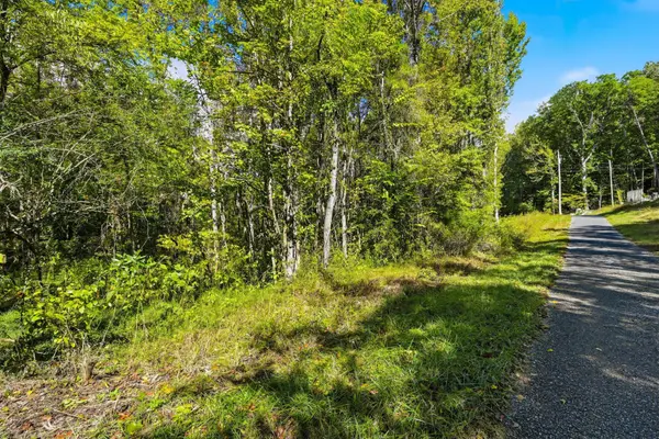 0 Timber Lake Drive, Cosby, TN 37722