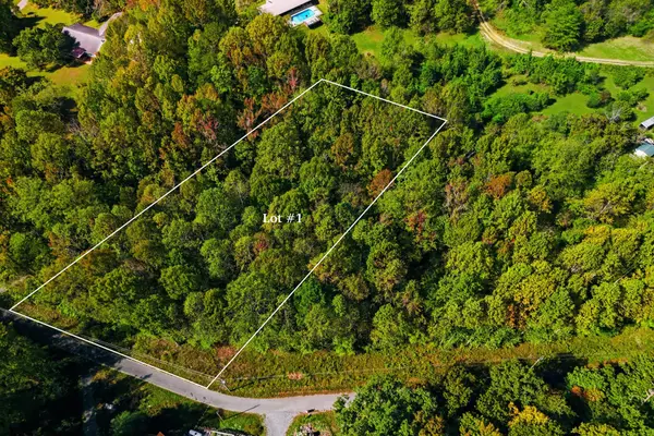 0 Timber Lake Drive, Cosby, TN 37722