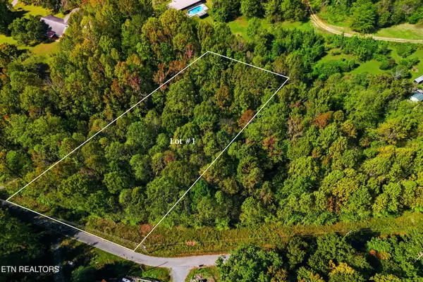 1 Timber Lake Drive, Cosby, TN 37722