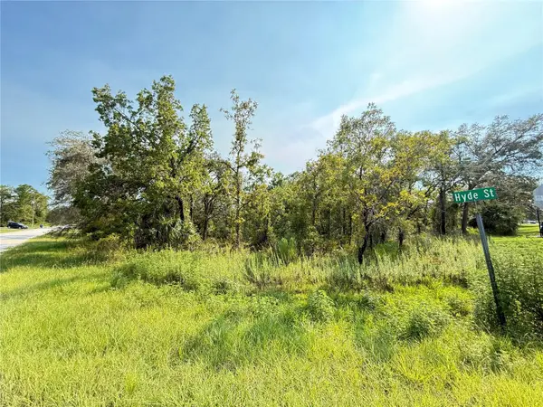 11096 MARSH WREN AVE, Weeki Wachee, FL 34614