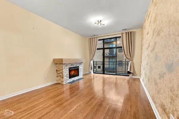 1910 S Michigan AVE #303, Chicago, IL 60616