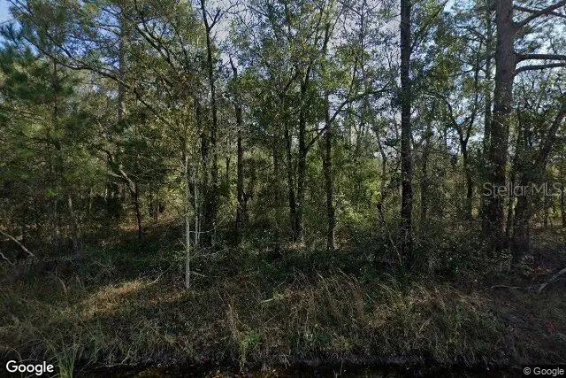 10100 VAUGHAN AVE, Hastings, FL 32145