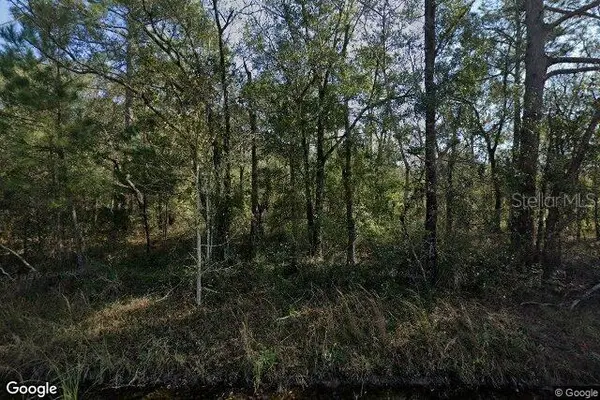 10100 VAUGHAN AVE, Hastings, FL 32145