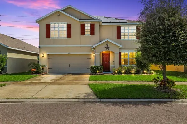 10317 GEESE TRAIL CIR, Ruskin, FL 33573