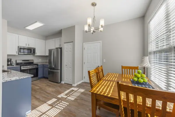 317 Grape Vine TRL, Oswego, IL 60543