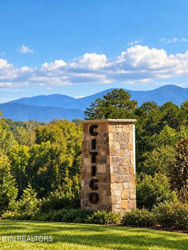 452 Federal Ferry Circle, Vonore, TN 37885