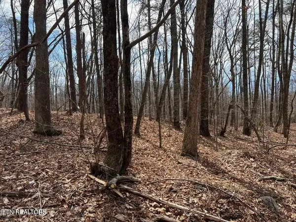 0 Swann Saddle, Sevierville, TN 37876