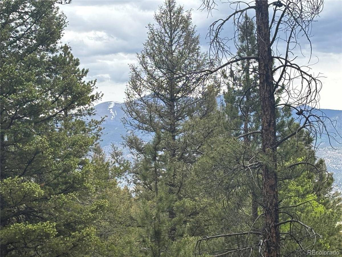 30304 Aspen Turn, Buena Vista, CO 81211