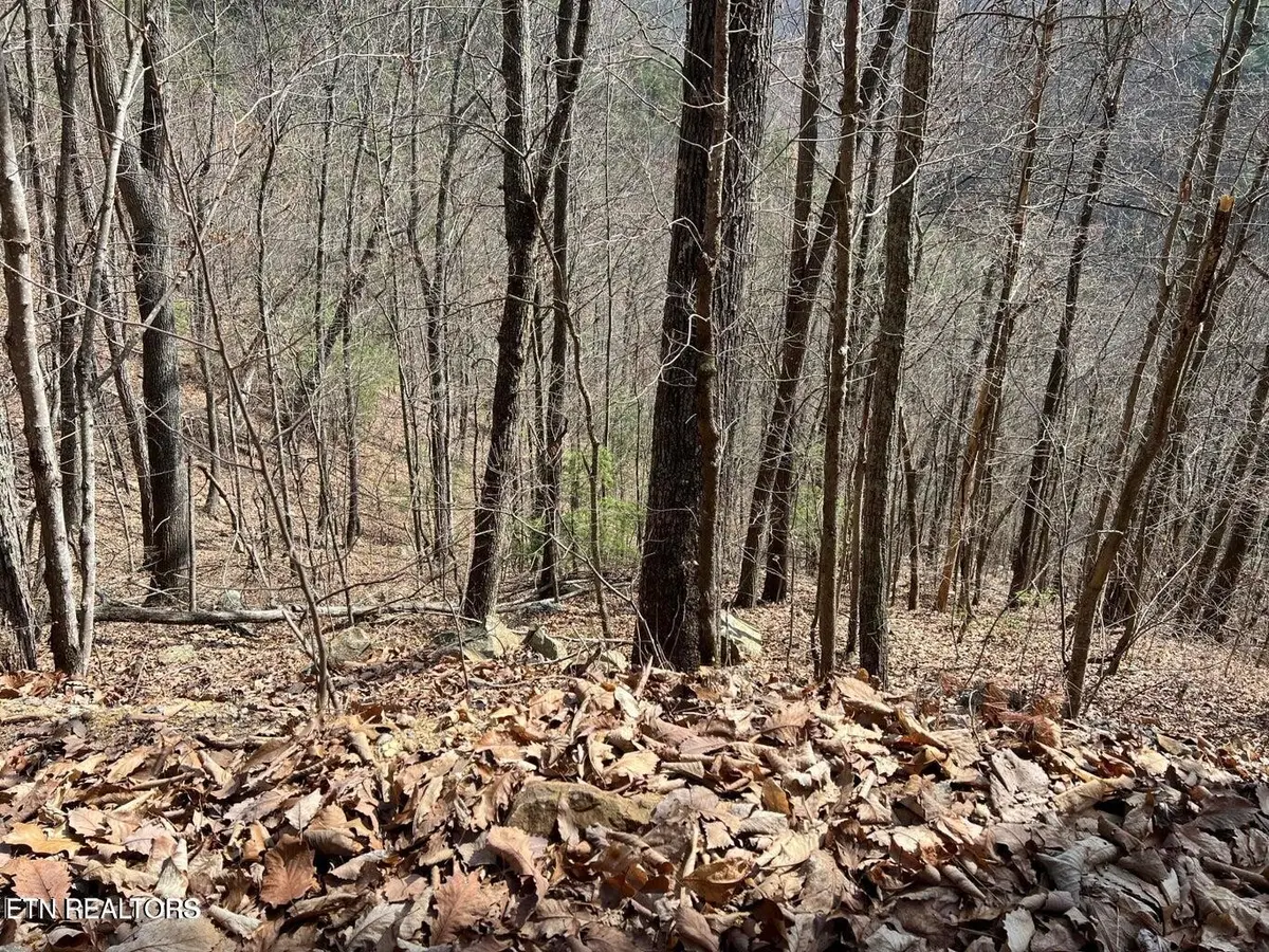 0 Aintree Drive, Sevierville, TN 37876