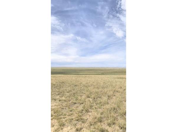 34000 County Road 160,  Agate,  CO 80101