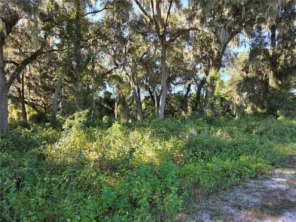 6605 SE 55TH AVE, Center Hill, FL 33514
