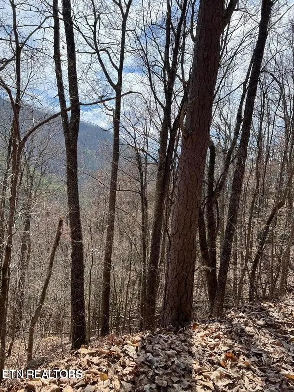 0 Aintree Drive, Sevierville, TN 37876