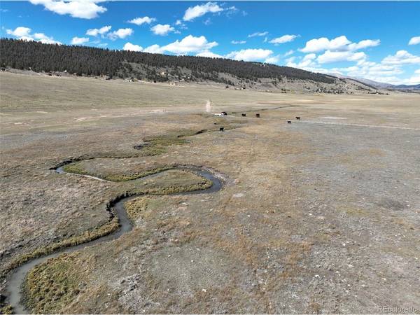 0 County Road 7, Fairplay, CO 80440