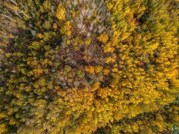 XX Tettegouche Ridge, Silver Bay, MN 55614