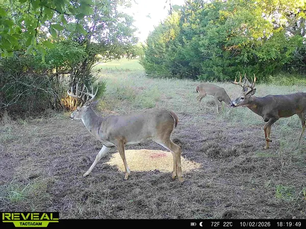 00000 201st RD, Burden, KS 67019-9348